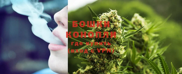прущие грибы Михайлов