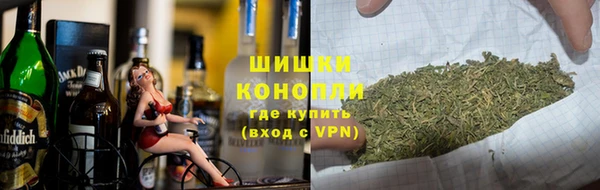 прущие грибы Михайлов