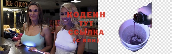 прущие грибы Михайлов