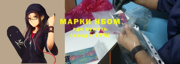 стафф Михайловск