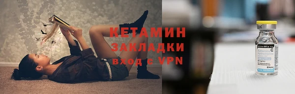 прущие грибы Михайлов