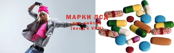 стафф Михайловск