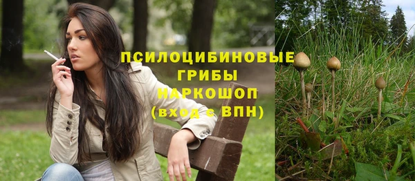 стафф Михайловск