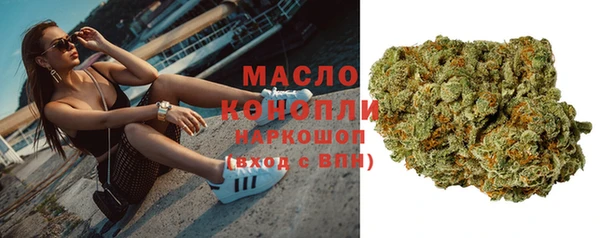 прущие грибы Михайлов