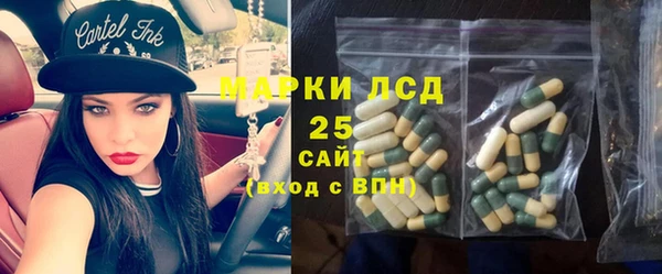 стафф Михайловск